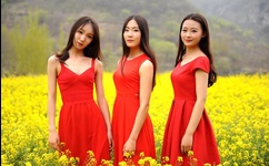 B站永久免费看片